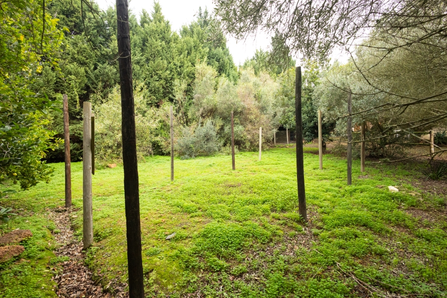 5 Bedroom Property for Sale in Vierlanden Western Cape